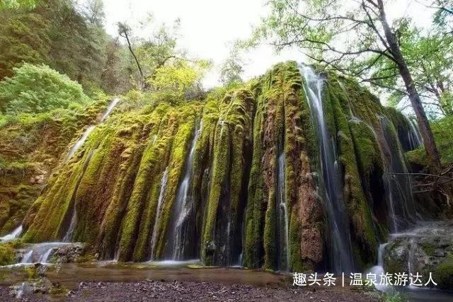 救援卷耳兔